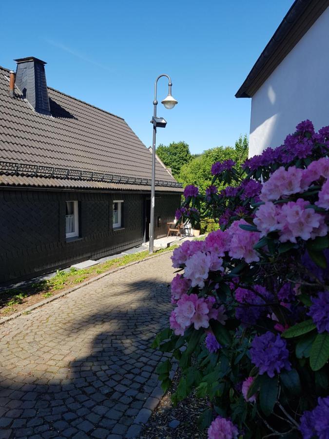 Pilgrims "Elfriede"- Freundliche Unterkunft Remblinghausen Esterno foto